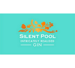 Silent Gin Pool